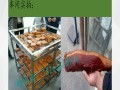 一站式精品餐飲助力高端接待 品質服務雙提升
